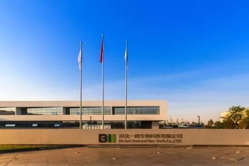 自貿區正定片區企業助力湖北抗疫