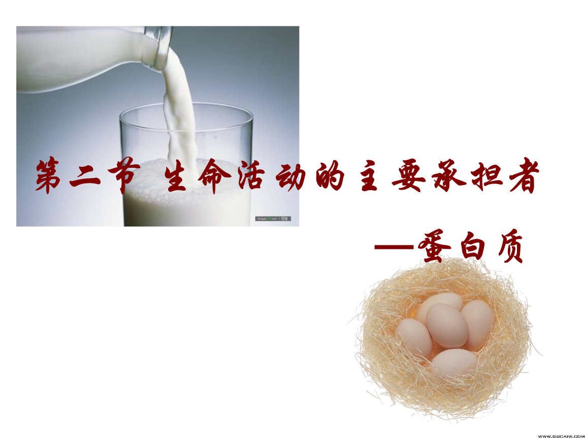 河北省石家莊第十五中學高二生物 生命活動的承擔者-蛋白質 課件.ppt