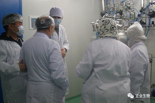 埃及農(nóng)業(yè)部疫苗采購gmp驗廠檢查團(tuán) 到吉林正業(yè)生物制品股份開展驗廠核準(zhǔn)工作