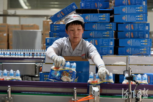 河北青縣 打造綜合性食品產業基地鳳凰網河北 鳳凰網