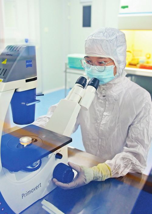 瞭望 治國理政紀(jì)事 協(xié)同發(fā)展彰顯新?lián)?dāng)