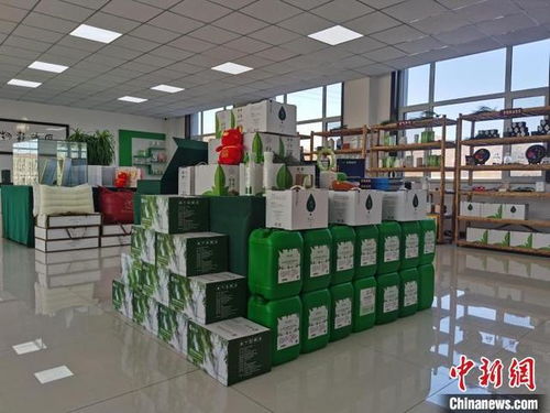 河北承德 小松針也能做成大健康產(chǎn)業(yè)