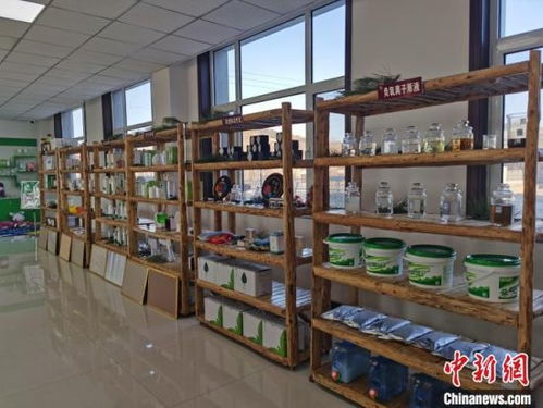 河北承德 小松針也能做成大健康產(chǎn)業(yè)